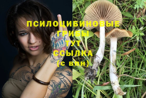 бошки Алексин