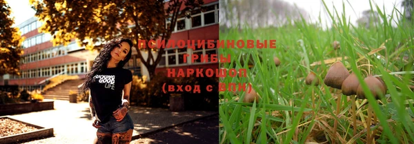 спайс Алзамай