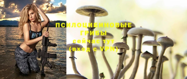 спайс Алзамай