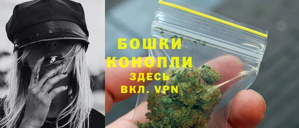 бошки Алексин