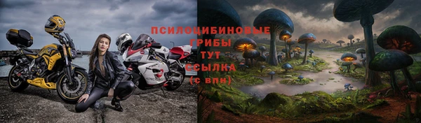 спайс Алзамай