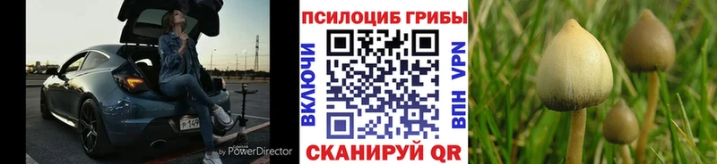 Галлюциногенные грибы мицелий Ступино